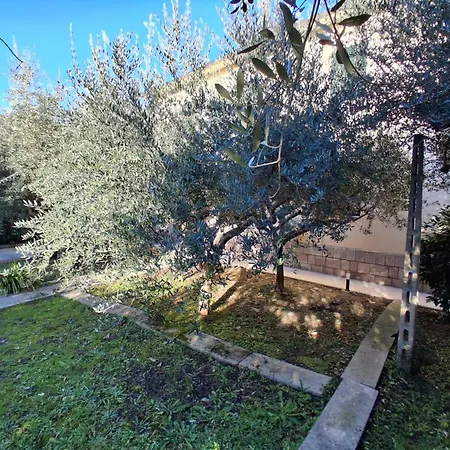 Guest house Che Sara Mai