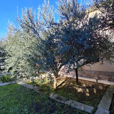 Che Sara Mai Guest house Santa Maria Degli Angeli (Assisi)