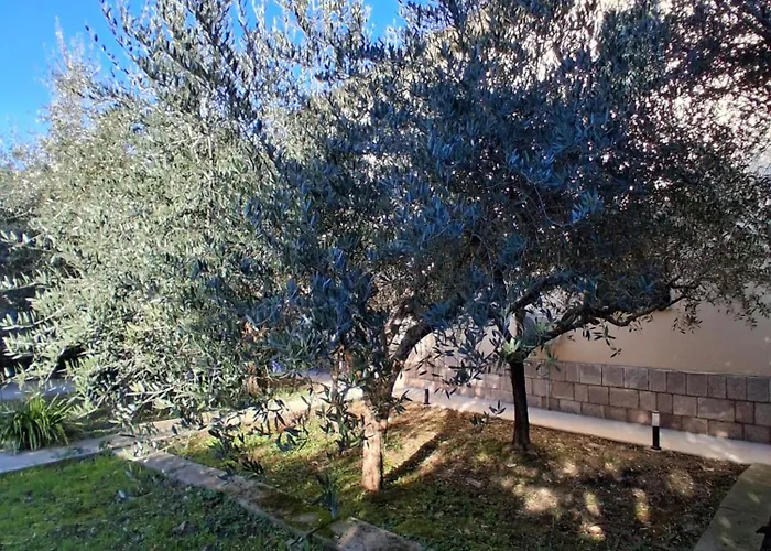 Che Sara Mai ゲストハウス サンタ・マリア・デッリ・アンジェリ